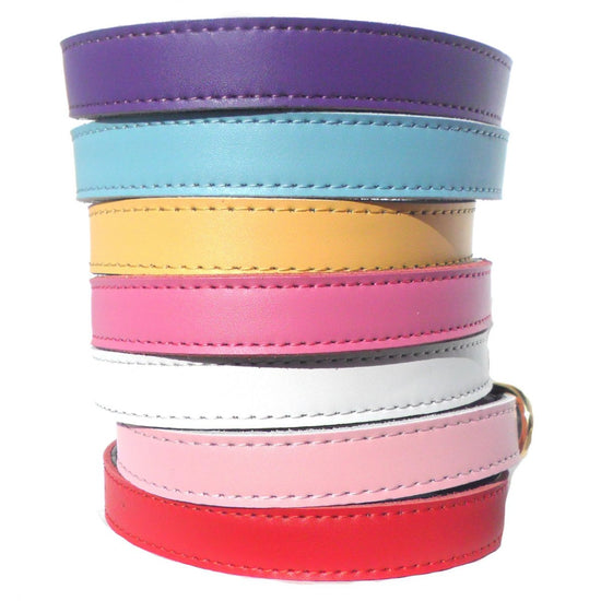Genuine Plain Chelsea Dog Collars - Classic Nylon 4 Sizes 8-16"