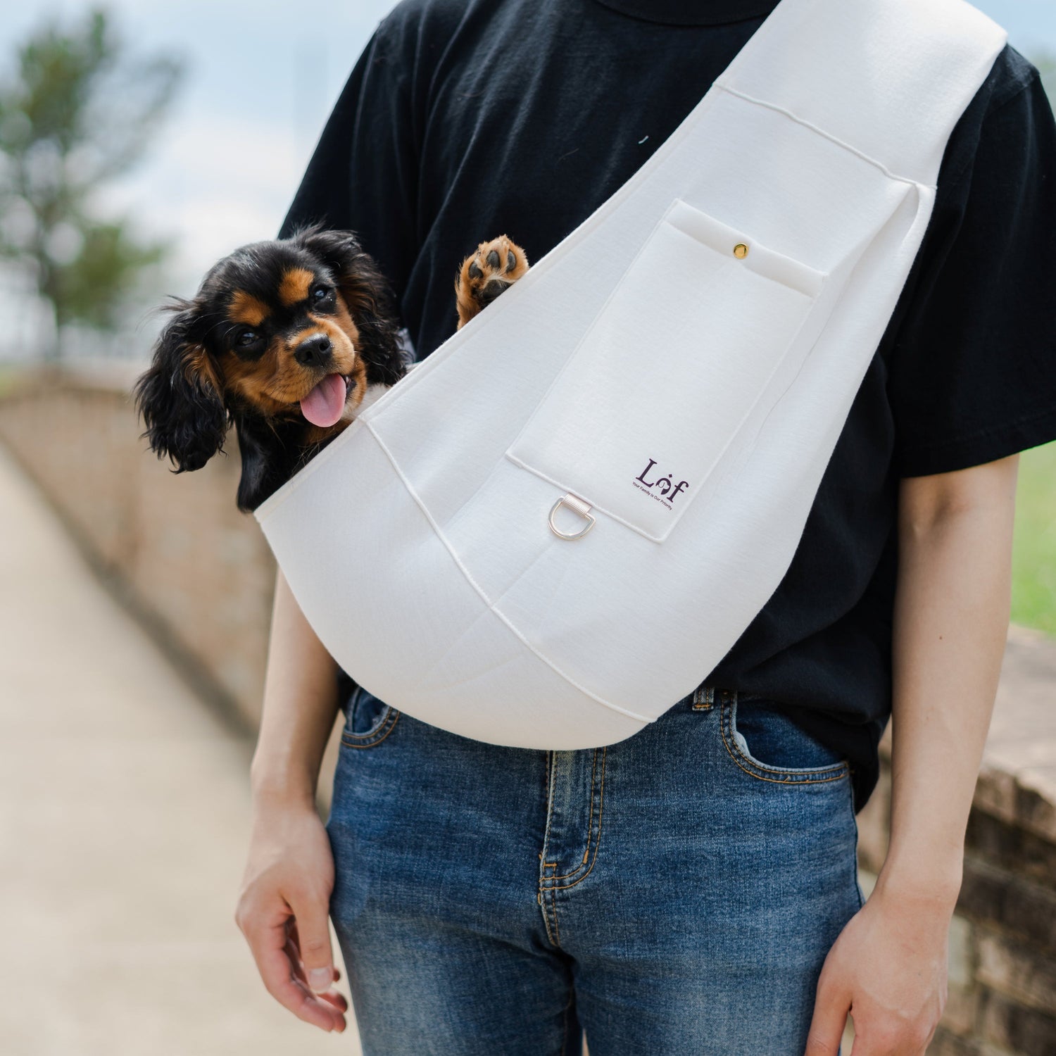 Palace Pet Travel In Style With Lof Neoprene Pet — Palais des Animaux™ by Palace of Roman™
