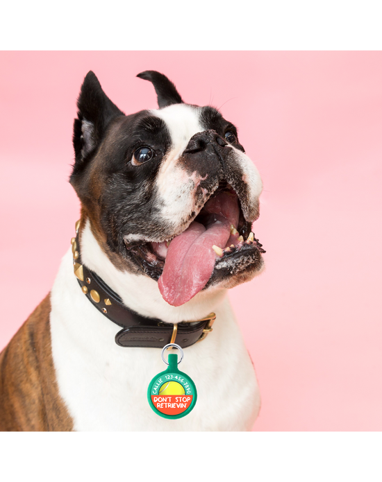 Donāt Stop Retrievinā Ecoplastic Pet ID Tag- Choose from many colors.