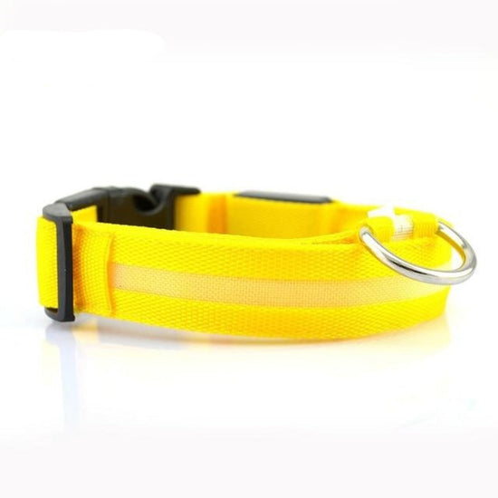 Genuine 2 PCS Set Nylon LED Dog Collar - Rechargeable Safety