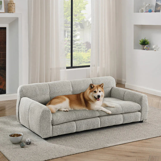 Grand Lounge Luxury Dog Bed | For Large Breeds