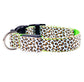Fashion Leopard Adjustable Led Dog Collar