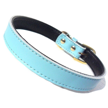 Genuine Plain Chelsea Dog Collars - Classic Nylon 4 Sizes 8-16"