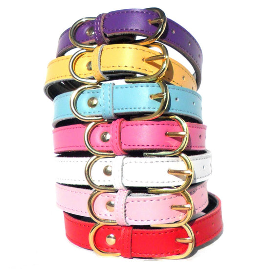 Genuine Plain Chelsea Dog Collars - Classic Nylon 4 Sizes 8-16"