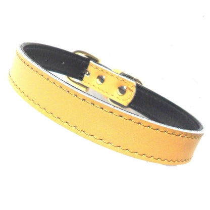 Genuine Plain Chelsea Dog Collars - Classic Nylon 4 Sizes 8-16"