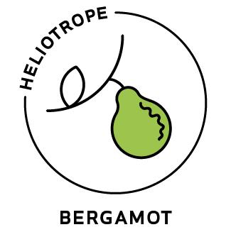 Essential Oil - Bergamot