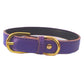 Genuine Plain Chelsea Dog Collars - Classic Nylon 4 Sizes 8-16"