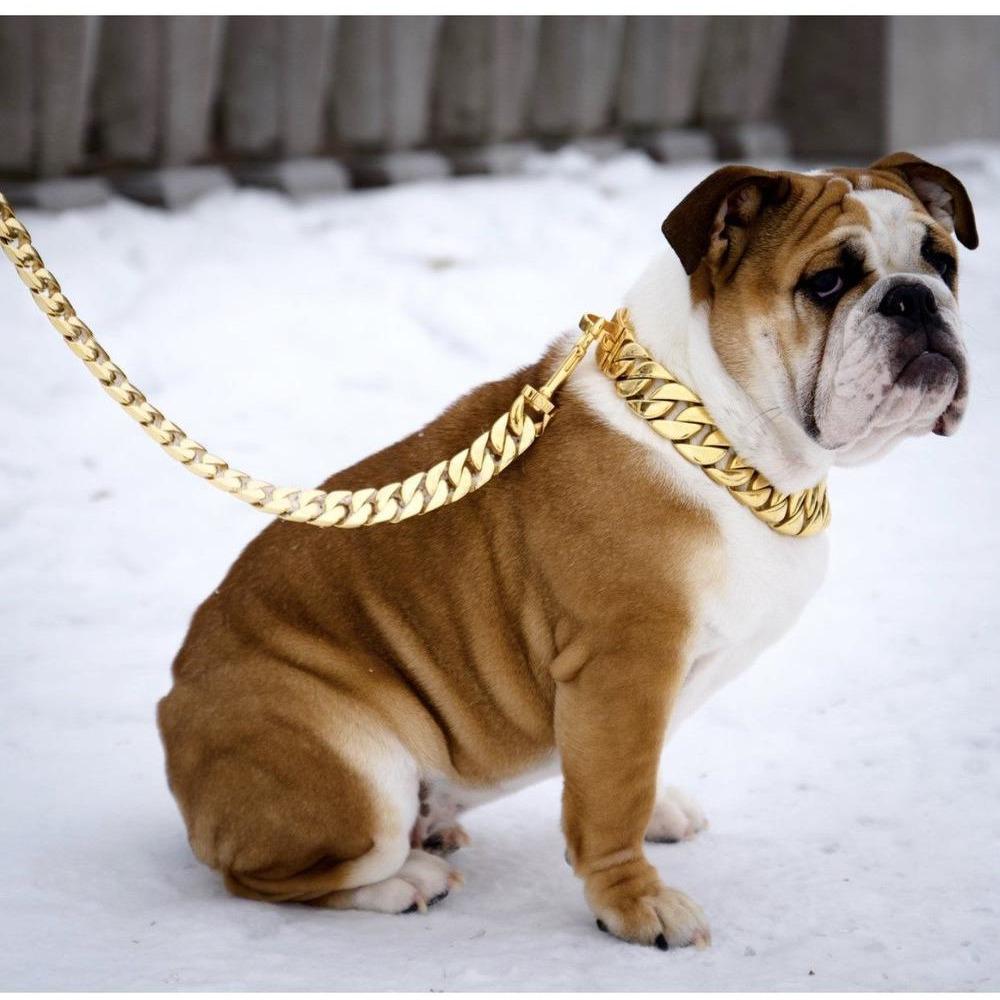 Palace Cuban Link Leash – Luxe Gold Edition