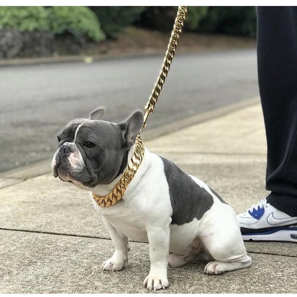 Palace Cuban Link Leash – Luxe Gold Edition