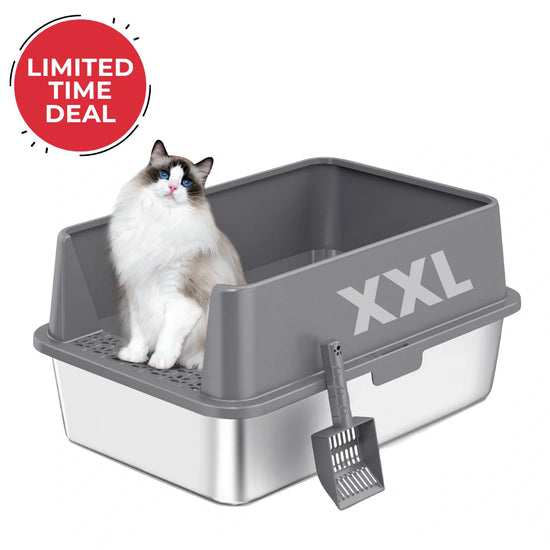 XXL Stainless Steel Cat Litter Box with Lid – High Sides, Low Entry, Easy to Clean, Odor-Free, Anti-Leak | Buy 2 & Save $10 - Palace of Roman