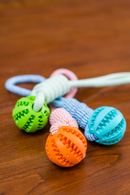 Genuine Durable Rubber Ball Chew Toy with Cotton Rope - Dog