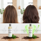 Hair Growth Shampoo - Results Focus