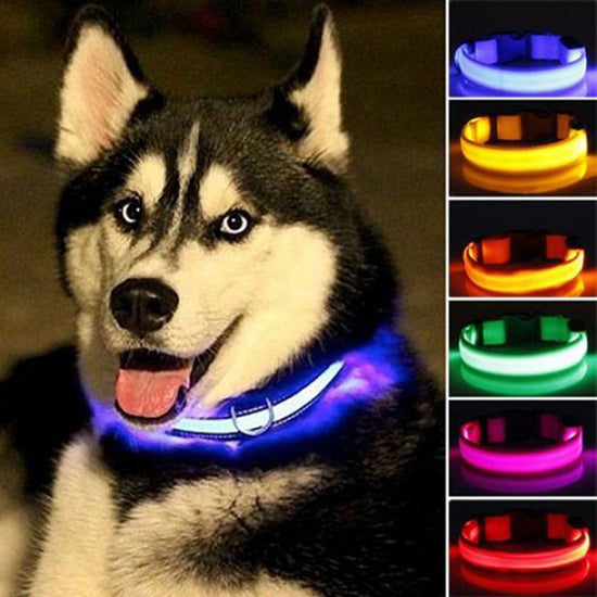 Genuine 2 PCS Set Nylon LED Dog Collar - Rechargeable Safety