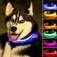 Genuine 2 PCS Set Nylon LED Dog Collar - Rechargeable Safety